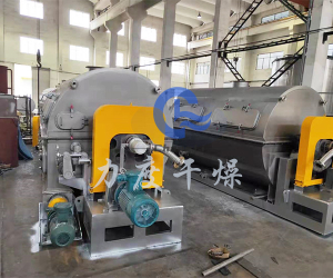 渗滤液滚筒刮板干燥机