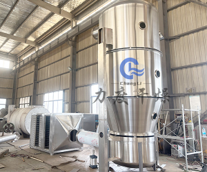 力度干燥——甜味香精沸腾制粒机！